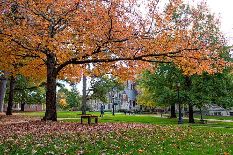 Agnes' Scott's quad in the fall